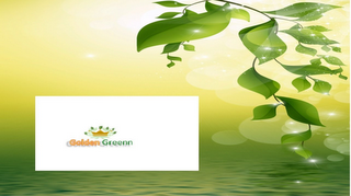 GOLDEN GREEN logo