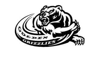 GOLDEN GRIZZLIES logo