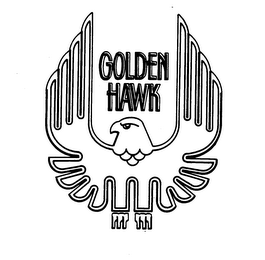 GOLDEN HAWK logo