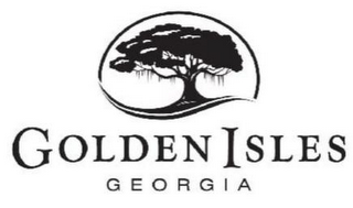 GOLDEN ISLES GEORGIA logo