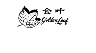 GOLDEN LEAF logo