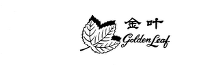 GOLDEN LEAF logo