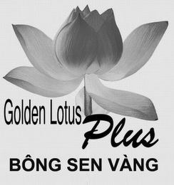 GOLDEN LOTUS PLUS BÔNG SEN VÀNG logo