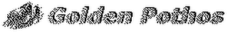 GOLDEN POTHOS logo
