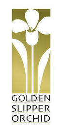 GOLDEN SLIPPER ORCHID logo