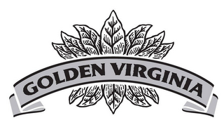 GOLDEN VIRGINIA logo