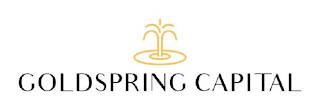 GOLDSPRING CAPITAL logo