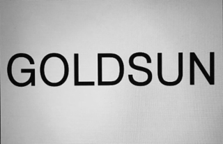 GOLDSUN logo