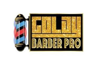 GOLDY BARBER PRO logo