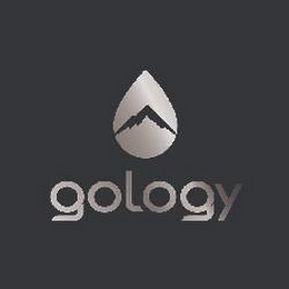 GOLOGY logo