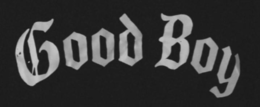 GOOD BOY logo