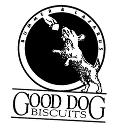 GOOD DOG BISCUITS logo