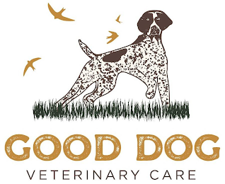 GOOD DOG VETERINARY CARE logo