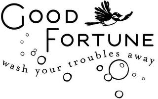 GOOD FORTUNE WASH YOUR TROUBLES AWAY logo