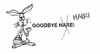 GOODBYE HAXRE! HAIR! logo
