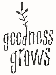 GOODNESS GROWS logo