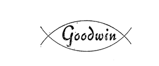 GOODWIN logo