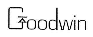 GOODWIN logo