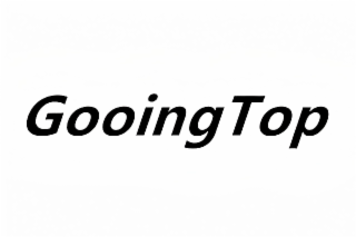 GOOINGTOP logo