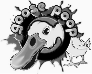 GOOSE POOP logo