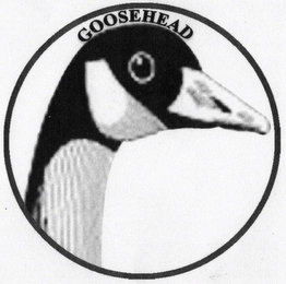 GOOSEHEAD logo