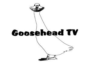 GOOSEHEAD TV logo