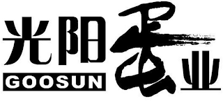 GOOSUN logo