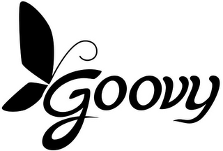 GOOVY logo