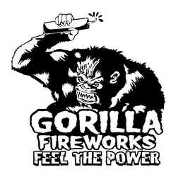 GORILLA FIREWORKS FEEL THE POWER