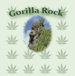 GORILLA ROCK logo