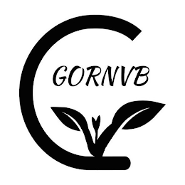 GORNVB logo