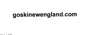 GOSKINEWENGLAND.COM logo