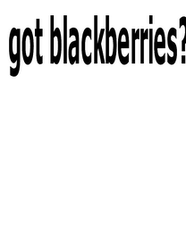 GOT BLACKBERRIES? logo