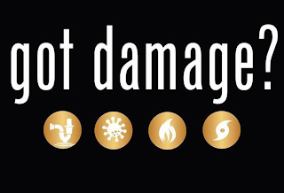 GOT DAMAGE? logo