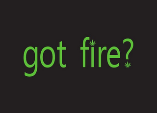 GOT FIRE? logo