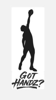 GOT HANDZ? logo