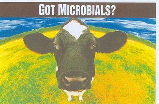 GOT MICROBIALS? logo