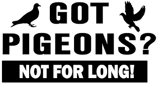 GOT PIGEONS? NOT FOR LONG! logo
