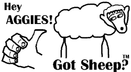 "GOT SHEEP?"; "AGGIES SUCK"; " AGGIESSUCK.COM" logo