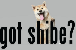 GOT SHIBE? logo