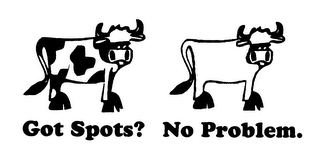 GOT SPOTS? NO PROBLEM. logo