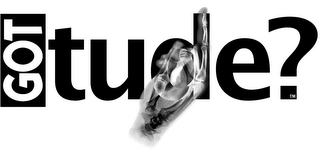 GOT TUDE? logo
