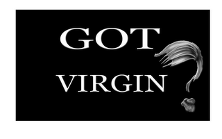 GOT VIRGIN? logo
