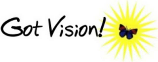 GOT VISION! logo