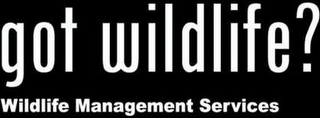 GOT WILDLIFE? WILDLIFE MANAGEMENT SERVICES logo