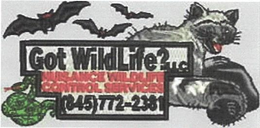 GOT WILDLIFE?LLC NUISANCE WILDLIFE CONTROL SERVICES (845)772-2381 logo