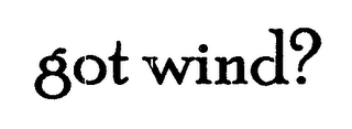 GOT WIND? logo
