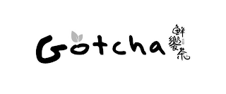 GOTCHA logo