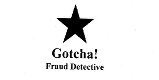 GOTCHA! FRAUD DETECTIVE logo