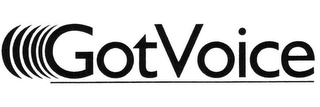 GOTVOICE logo